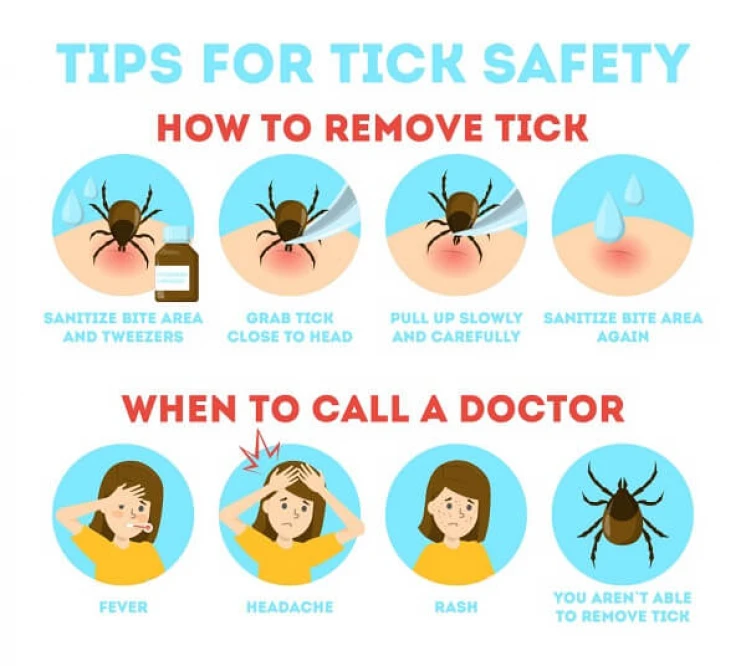 Tips for Tick Safety